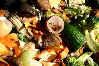 餐厨垃圾对环境危害